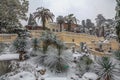 SOCHI, RUSSIA - JANUARY 29, 2017: 2017: Arboretum - the villa Nadezhda.