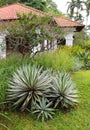 House with natural landscaping design Royalty Free Stock Photo