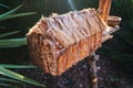 House nest for birds handmade at home, placed in a garden