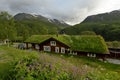 House in Norway with green grass roof