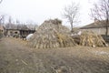 Corn stalks and a cart Royalty Free Stock Photo