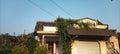 A house that is overgrown with vines and has been abandoned by its occupants