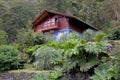 House at the Peulla locality, Chile Royalty Free Stock Photo