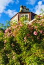 A house with pink climbing roses Royalty Free Stock Photo