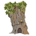 The house in a plane tree