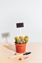 House plant composition with a cactus in a pot, a spatula and an inscription board