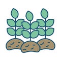 House plant cultivating isolated icon