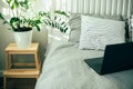 House plant green ficus on wooden stand, laptop on bed. Scandinavian interior, lifestyle concept Royalty Free Stock Photo