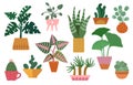 House plant. Home cactus, scandinavian decor. Cute succulents, cacti and houseplants, indoor flowers in pots. Isolated