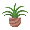 House plant icon cartoon vector. Exotic blossom flower Royalty Free Stock Photo