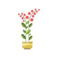 House plant, indoor flower in pot, elegant home decor vector Illustration