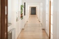 House plant inside a long empty hallway, in an old building with white freshly painted walls and parquet floors Royalty Free Stock Photo