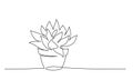 House plant in pot. Continuous one Line drawing