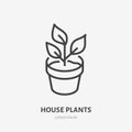 House plant in pot flat line icon. Vector thin sign of plants growth, flower store logo. Gardening illustration