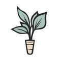 House plant in pot. Hand drawn vector cartoon doodle icon on white Royalty Free Stock Photo