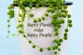 House plant Senecio rowleyanus with tiny happy faces on beads, Happy Plants make Happy people text.