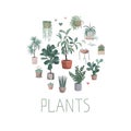 House plants arranged in circle, vector hand drawn illustration Cute homeplant pots, cactuses and succulents. Isolated