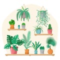 House plants collection in flat style with details, indoor home plants in colorful pots on shelves, green set, palm