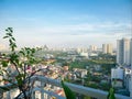 House plants at compact balcony garden of high-rise apartment aerial view dense of multistory residential home caged balcony, high