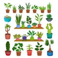 House Plants Growing Indoor in Ceramic Pots on Shelf Big Vector Set Royalty Free Stock Photo