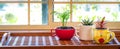 House plants grown in recycled mug, jug and tea pot displayed in sunny window recycle, reuse, up cycle for sustainable living and