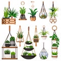 House plants in hanging macrame pots, isolated on white background. Vector flat illustration of green potted houseplants