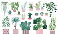 House Plants and Indoor Home Flowers Icons Royalty Free Stock Photo