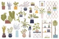 House plants isolated elements set. Bundle of potted houseplant