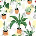 House Plants in pots seamless pattern