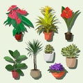 House plants set