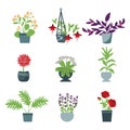 House plants set