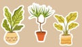 House plants stickers. Set of hygge tropical patee succulent plants stickers. Cozy lagom style collection of plants in cartoon