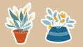 House plants stickers. Set of hygge tropical patee succulent plants stickers. Cozy lagom style collection of plants in cartoon