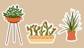 House plants stickers. Set of hygge tropical patee succulent plants stickers. Cozy lagom style collection of plants in cartoon