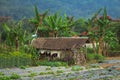 House of a poor farmer, Bali, Asia