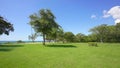 House residense near the sea. Great view on the ocean. Green grass. many tropical trees. Territory for rest and piece
