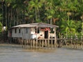 House in river