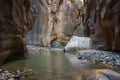 House Rock in the Narrows section of the North Fork Virgin River, in Zion National Park, Utah Royalty Free Stock Photo