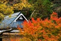 House roof against autumn foliage colors