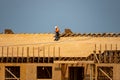 House roof. Roofing construction. Roofer using air nail. Roofing tiles of the new roof under construction building