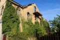 House ruin covered with ivy leaves, Portugal. Royalty Free Stock Photo