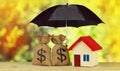 house and sack bags with dollas sign coin protect on green yellow background Saving money for real estate and property