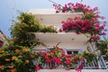 House on Samos Royalty Free Stock Photo