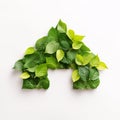 House shaped icon made of green leaves isolated on transparent background Royalty Free Stock Photo