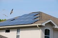 House with solar panels and flying birds