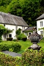 House with some ivy in facade and a vineyard. Royalty Free Stock Photo