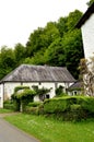 House with some ivy in facade and a vineyard. Royalty Free Stock Photo