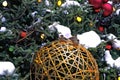 House Sparrows on Christmas Tree 61342