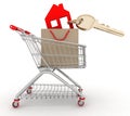 House symbol with key in a paper shopping bag and shopping cart Royalty Free Stock Photo