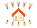 House targeted by a horde of termites Royalty Free Stock Photo